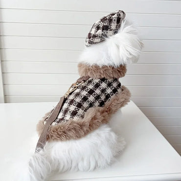 Lace Dreams - Pet Woolen Cape