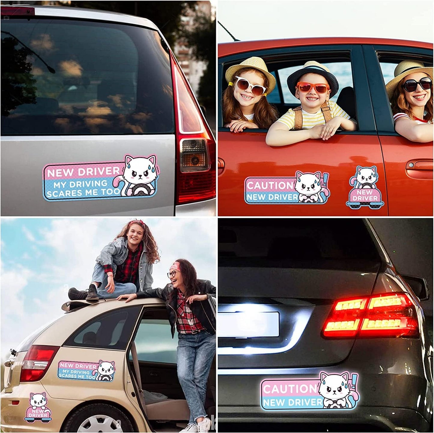 WhiskerWarn Student Driver Magnets 4-Pack