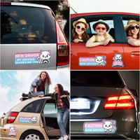 WhiskerWarn Student Driver Magnets 4-Pack