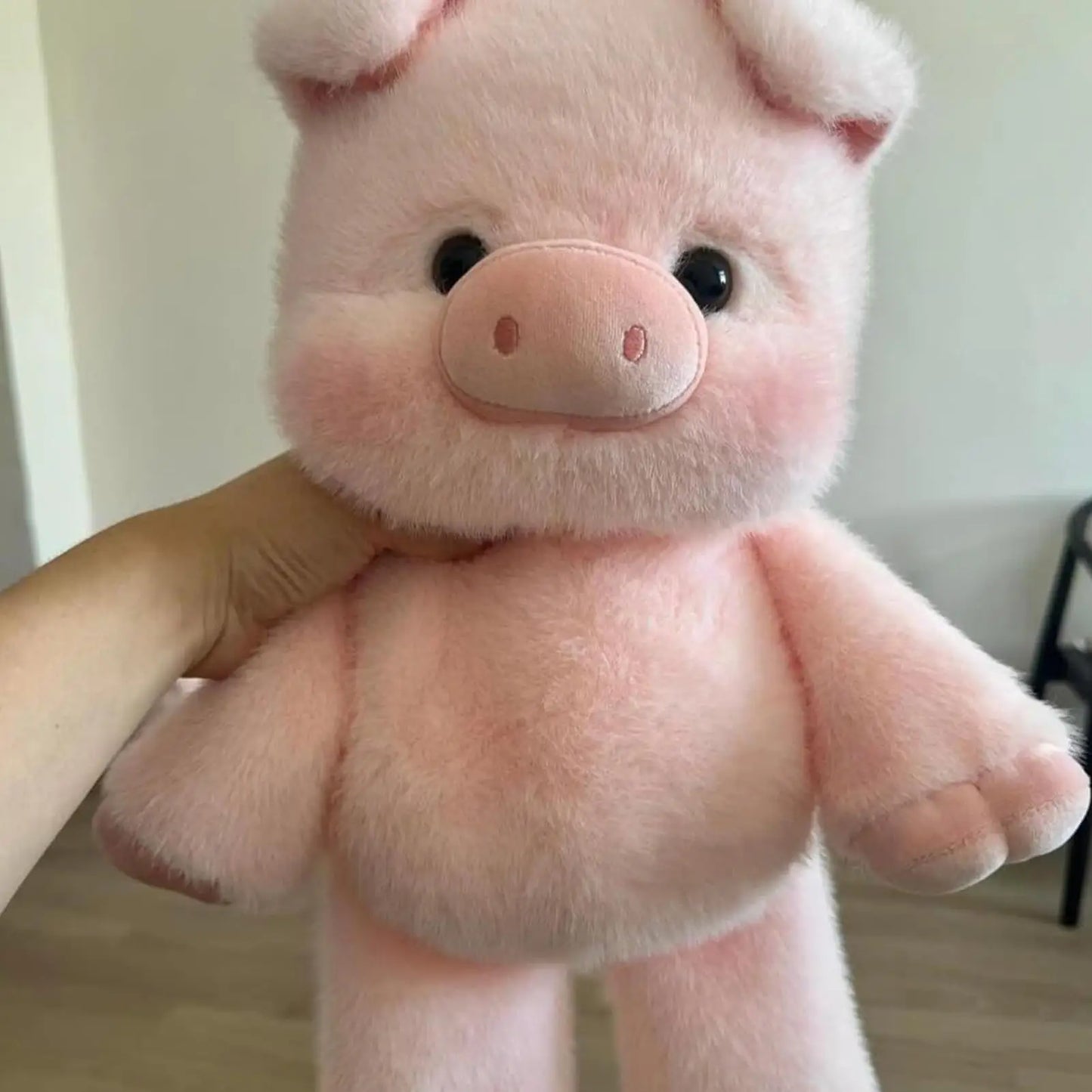Comfort Piggy