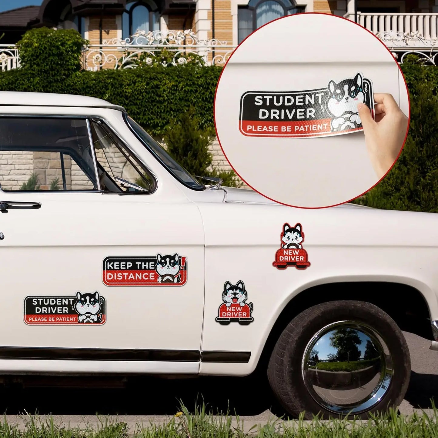 WhiskerWarn Student Driver Magnets 4-Pack