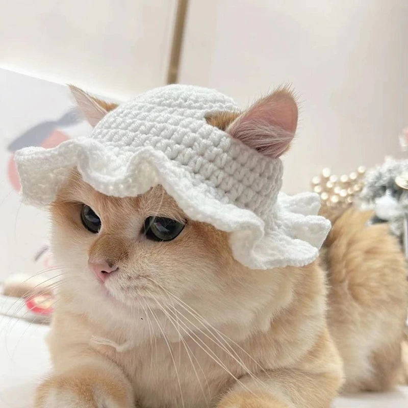 HatCute Knitted Pet Winter Hat