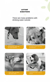 HydroSip Portable Pet Water Bottle 2-in-1