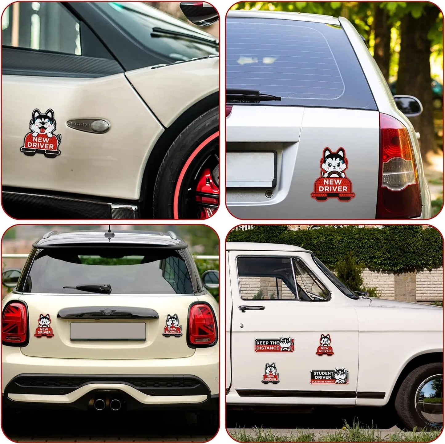 WhiskerWarn Student Driver Magnets 4-Pack