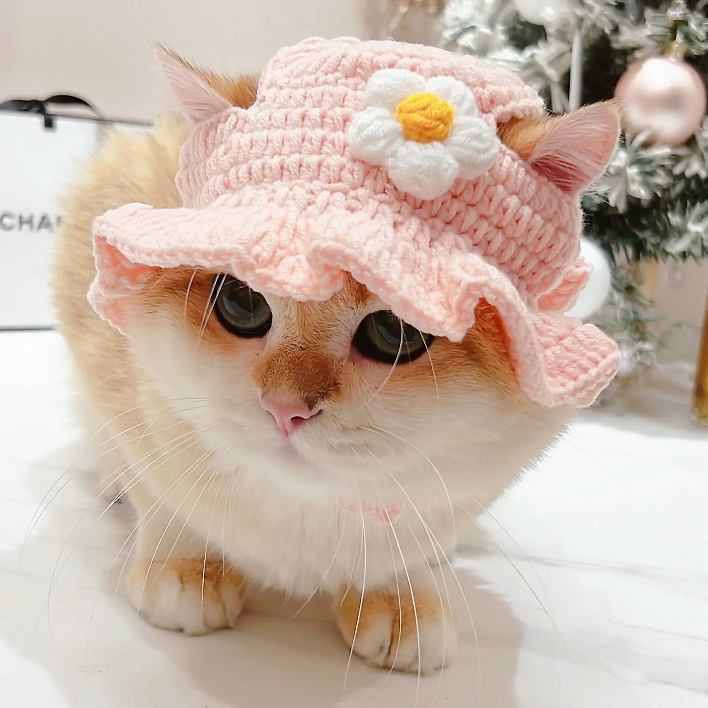HatCute Knitted Pet Winter Hat