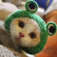 HatCute Knitted Pet Winter Hat