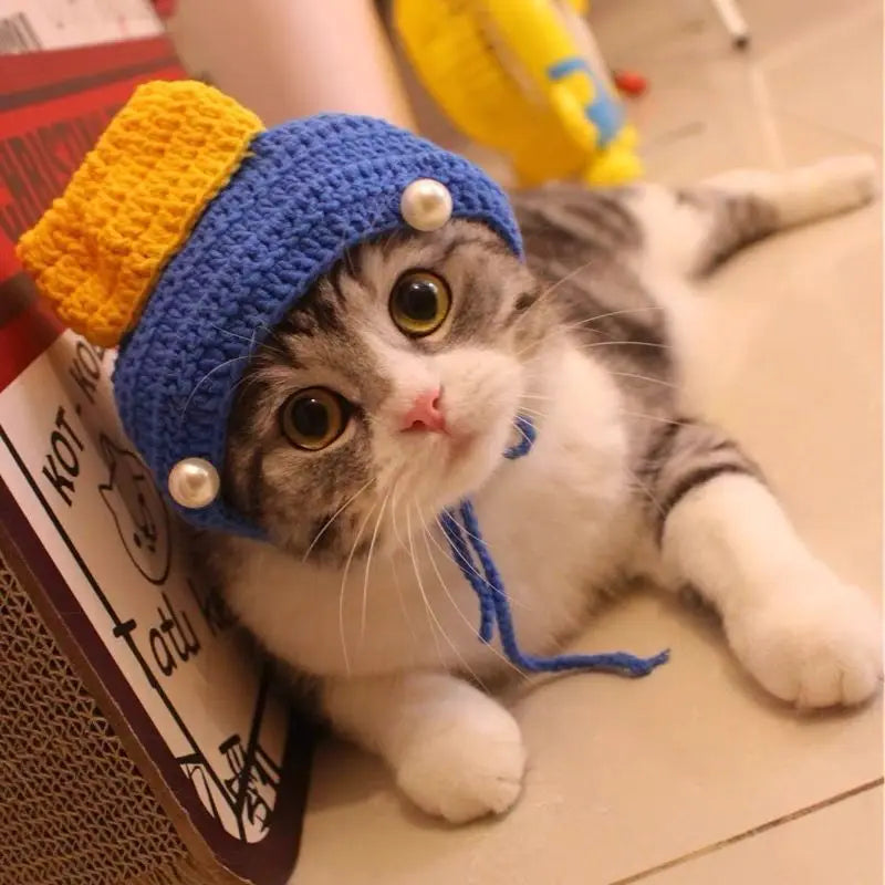 HatCute Knitted Pet Winter Hat