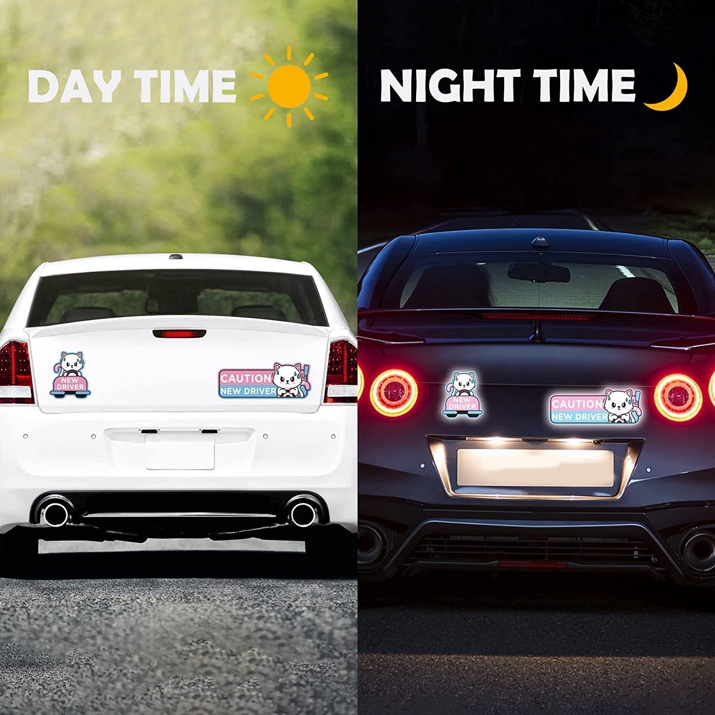 WhiskerWarn Student Driver Magnets 4-Pack