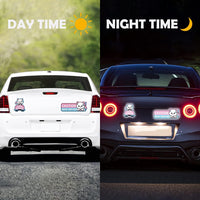 WhiskerWarn Student Driver Magnets 4-Pack