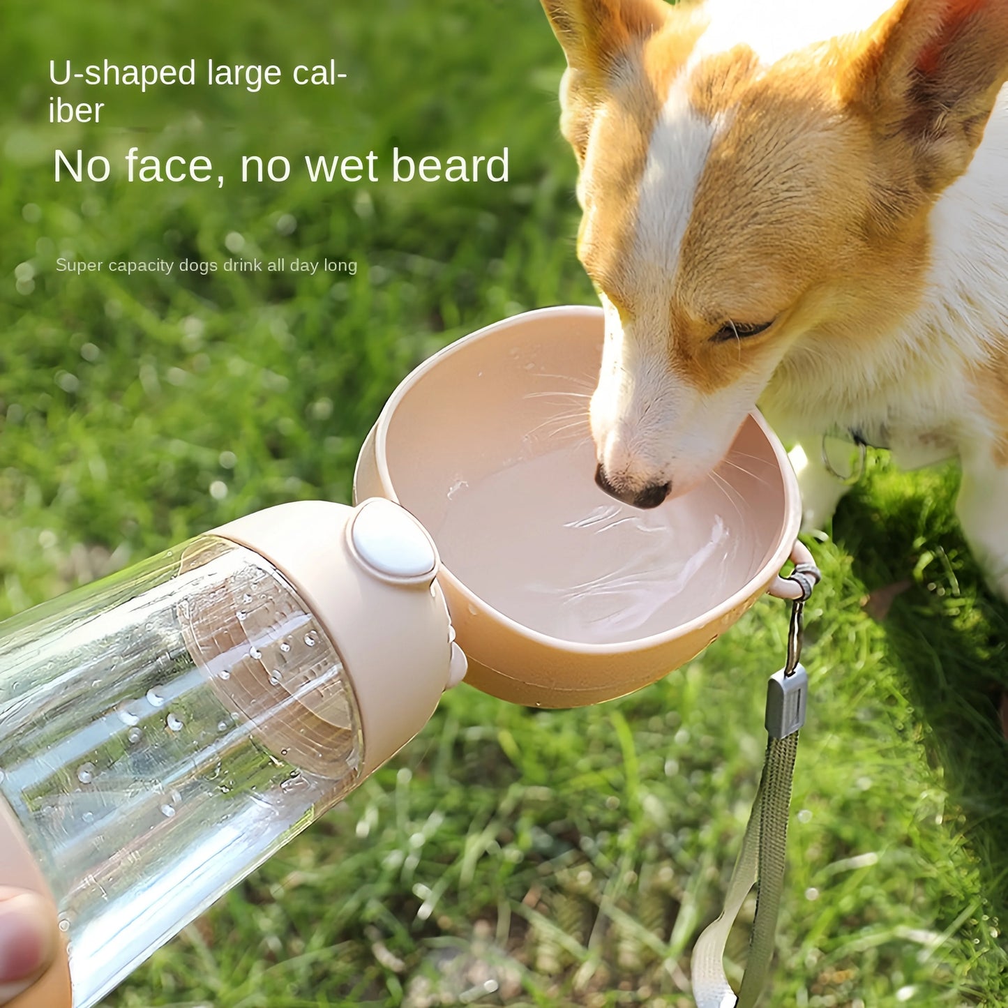 HydroSip Portable Pet Water Bottle 2-in-1