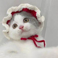HatCute Knitted Pet Winter Hat