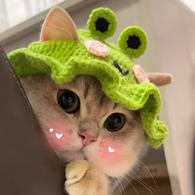HatCute Knitted Pet Winter Hat