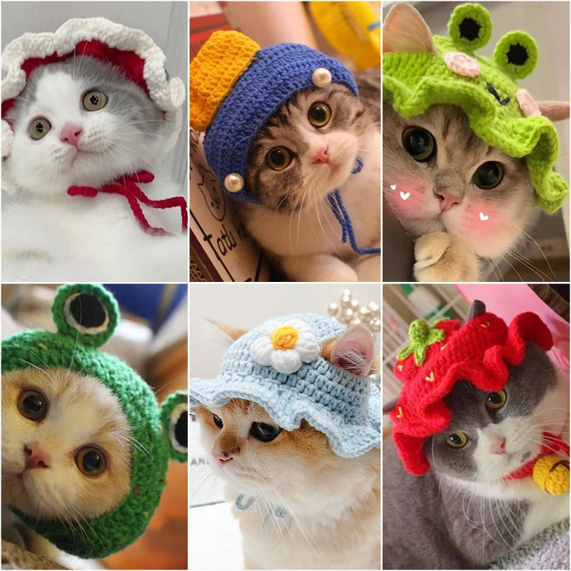 HatCute Knitted Pet Winter Hat