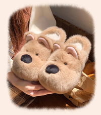 Snout Slides - Slippers