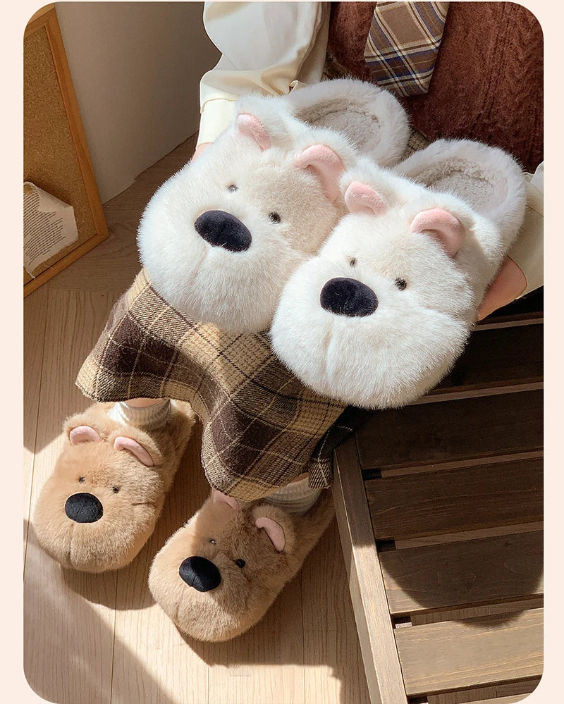 Snout Slides - Slippers