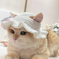 HatCute Knitted Pet Winter Hat