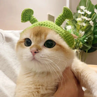 HatCute Knitted Pet Winter Hat