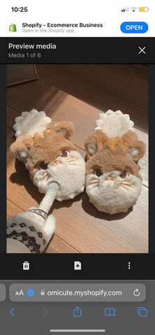 Meow - Slippers