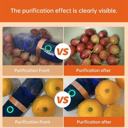 Fruit Purifier